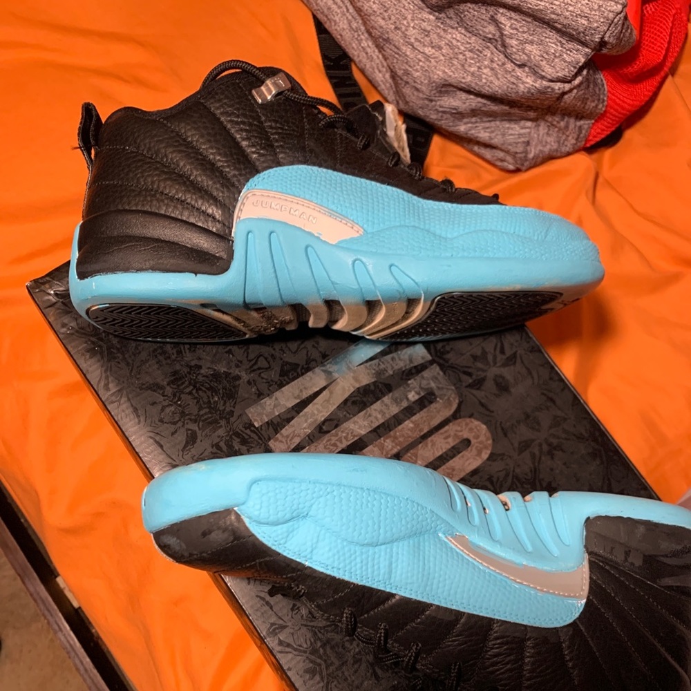 jordan 12 gs